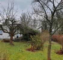 garten mit schuppen und pl-jößnitz - Plauen Haselbrunn