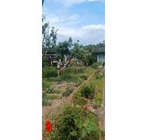 Garten mit Häuschen bei Templin Verein Zum Röddelinsee 1986 e.V. - Ellerau