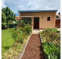 Kleingarten - 3.500,00 EUR Kaltmiete, ca.  0,00 m² in Dresden (PLZ: 01237) Blasewitz