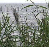 FeWo am Stettiner Haff Ostsee - 45,00 EUR Kaltmiete, in Liepgarten (PLZ: 17375)