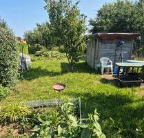 Pachtgarten 171m² - 17,00 EUR Kaltmiete, ca.  0,00 m² in Am Ettersberg (PLZ: 99439)