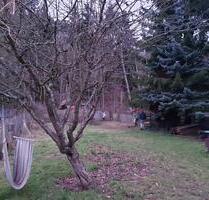Gartengrundstück in Argenschwang zu vermieten - Hargesheim