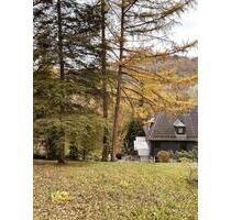Wohnung 3,5 ZKB in Siegen - 1.050,00 EUR Kaltmiete, in Siegen (PLZ: 57076) Weidenau