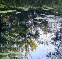 Freizeitgrundstück mit Teich und Schutzhütte - Ribbesbüttel