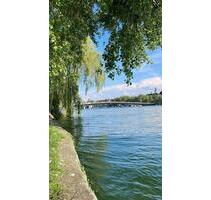 4 Zimmer Whg | WG geeignet in Petershausen - Konstanz Konstanz-Fürstenberg