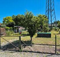 Kleingarten inkl. aller Gartengeräte 500 € !!! - Braunschweig Heidberg-Melverode