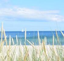 Sonderpreis 4.-10.9. Ferienwohnung Damp Strand Meer Ostsee - Goslar