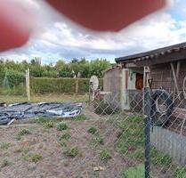 Doppelhaus - 180.000,00&nbsp;EUR Kaufpreis, ca.&nbsp; 86,00&nbsp;m&sup2; in Ferdinandshof (PLZ: 17379)