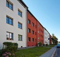 Sonnige Aussichten und strahlend gute Laune! - Magdeburg Brückfeld