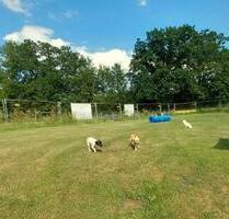 Ferienhaus im Sauerland 4 Personen, Hund(e) kostenlos - Hamburg Altona-Nord