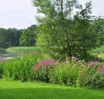 2 Zi.-Whg. im Betreuten Wohnen am Scharmützelsee - Bad Saarow