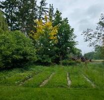 Wald- und Freizeitgrundstück - 250,00 EUR Kaltmiete, ca.  0,00 m² in Olching (PLZ: 82140)