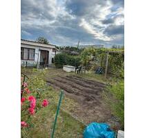 Kleingarten in Schwedt zu verpachten - Schwedt (Oder)