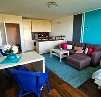 1 Zimmer Appartment 42qm direkter Main-Panoramablick zu vermieten - Offenbach am Main