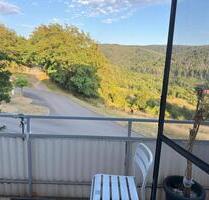 Helle 3 Zimmer Wohnung mit traumhaftem Ausblick sofort bezugfrei - Wiesbaden Bierstadt