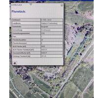 Waldstück Ausgleichsfläche 56 a - Burgwald