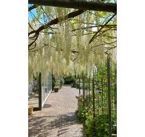 Grüne Oase mit toller Infrastruktur - Freudenberg