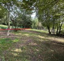 Schöner Garten in Wiesbaden-Igstadt zu verpachten