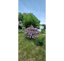 Garten strandnah! - 5.000,00 EUR Kaltmiete, ca.  0,00 m² in Kiel (PLZ: 24159) Friedrichsort