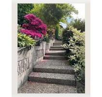 Renovierte helle 2,5 Zimmer Wohnung ab sofort - Lemberg