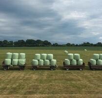 ‼️2026 Heu Heulage Gras Grünland Ernte Aufwuchs‼️ - Beverstedt