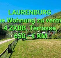 Laurenburg a.d. Lahn, schöne 4 ZKBB Wohnung mit Terrasse - Montabaur