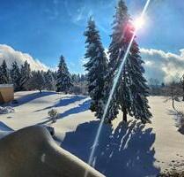 Wunderschöne Wohnung im Bayrischen Wald!! Tolle Ausstattung - Sankt Englmar