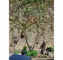 Haus zu vermieten - 600,00 EUR Kaltmiete, ca.  110,00 m² in Wegeleben (PLZ: 38828)