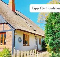 Insel-Reetkate auf Fehmarn mit Hund, inkl. kostenloser Nutzung von Pool und Sauna, Ferienhaus, Last Minute Ferienwohnung Meer Ostsee Lübecker Bucht Schleswig Holstein, mit Kindern, Hundeurlaub