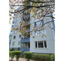 Schöne 3 Zimmer Wohnung in der Nordstadt - Wolfsburg Alt-Wolfsburg