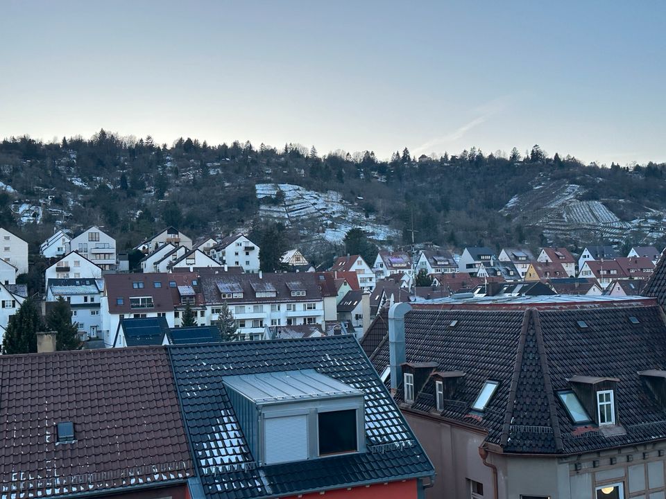 2 Zi.-Wohnung mit Aussichtsterrasse mitten in Stuttgart-Wangen