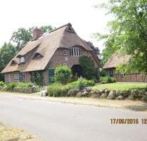 Neues Reet-Eichenfachwerk-Do-Haus mit Charme + gr. Anwesen - Berkenthin