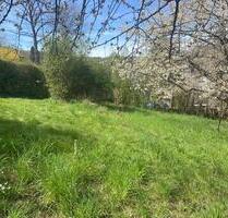 Freizeit Garten in Stuttgart- Rohracker zu verpachten
