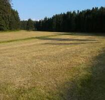 Diverse Land- und Forstwirtschaftliche Flächen - Marktleuthen