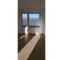 1-Zimmer-Wohnung - 472,00 EUR Kaltmiete, in Munster (PLZ: 29633)