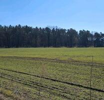 0,25 Hektar Wald Rüdersdorf bei Berlin Eigentum