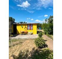 Garten ,640qm ,Alt Olvenstedt ,ab Januar 26 - Magdeburg
