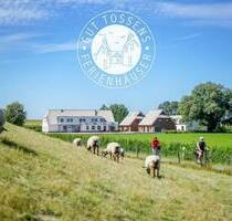 7 Nächte - Ferienappartement Gut Tossens an der Nordsee (bis 4 P) - Butjadingen