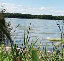 Erster Monat kostenlos! Einzigartiges Waldgrundstück am Massower See – Ihr Abgeschiedenes Naturparadies - Eldetal
