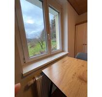 Möbl. Wohnung (2 ZW) mit Balkon in Lahr-Reichenbach (befristet) - Lahr (Schwarzwald)