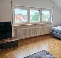 Helle 1-Zimmer-Wohnung mit separater Küche-ab sofort verfügbar! - Reutlingen Sondelfingen