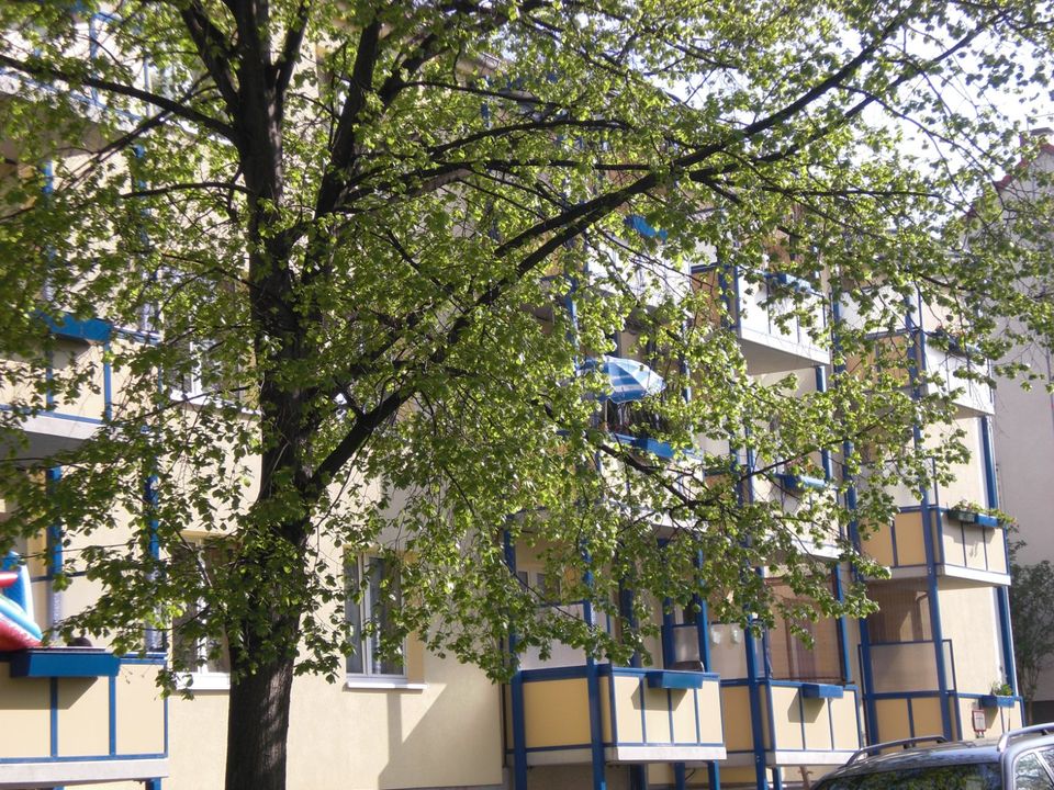 3-Raumwohnung mit Balkon im Grünen - Rötha