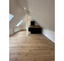1-Zimmer-Apartment | Erstbezug nach Sanierung | 26 m² - Amberg