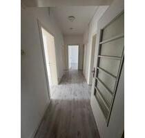 3 Zimmer Wohnung auf der Wilhelmshöhe Allee in Kassel ab Januar