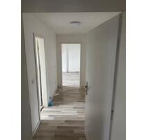 Wohnung 2,5 Zimmer - 340,00 EUR Kaltmiete, ca.  55,00 m² in Gelsenkirchen (PLZ: 45884) Rotthausen