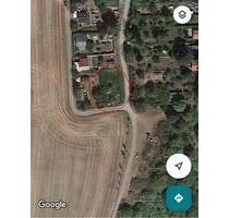 Garten Dornburg, Vorsicht: ungepflegt - Jena