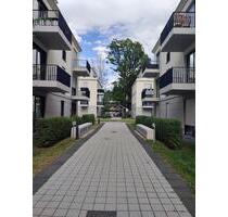 Schöne Dachgeschosswohnung zur Miete in Potsdam Waldstadt - Wentzel Dr.