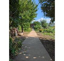 Garten mit Laube in Prenzlau (Uckermark) zur Pacht - ohne Verein - Berlin Mitte