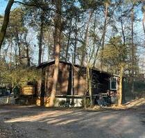 Haus zu mieten - 700,00 EUR Kaltmiete, in Emsbüren (PLZ: 48488)