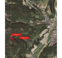 2 Waldgrundstücke in Weismain rd. 1,2 ha